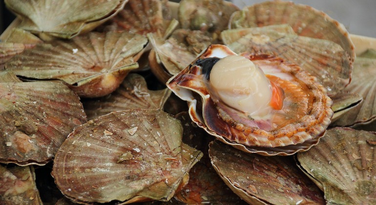 Esperienza gastronomica a Santiago