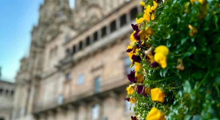 Visita privata della Cattedrale di Santiago
