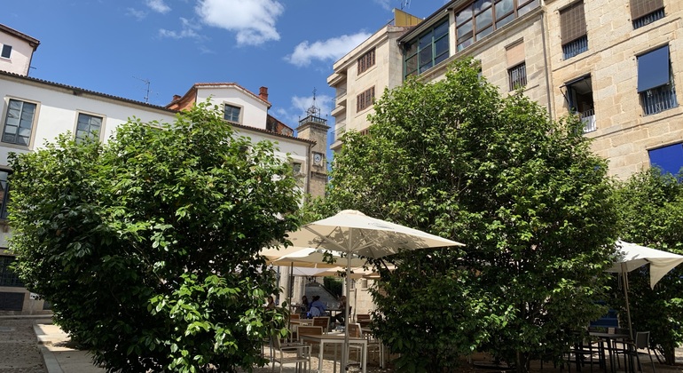 Tour Privado por Ourense