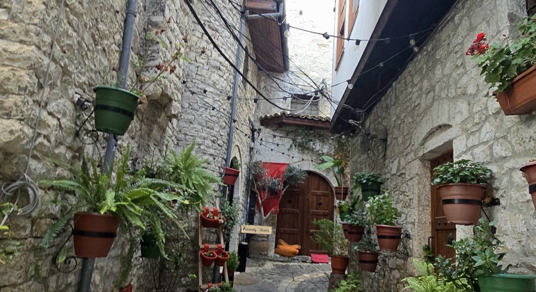 Day Trip to Mystical Berat with a Stop in Belsh Lake