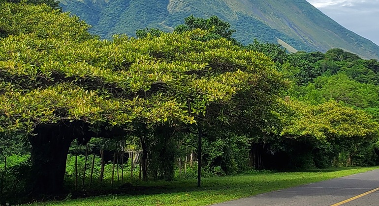 Escursione privata al vulcano Concepción sull'isola di Ometepe