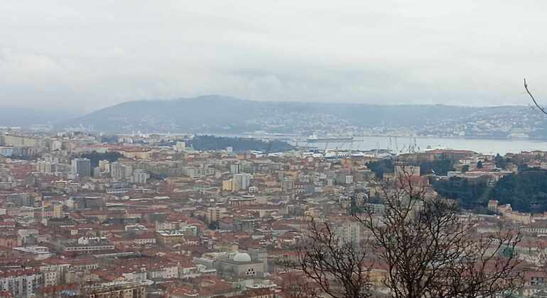 Viaja al pasado con el recorrido en tranvía retro de Trieste