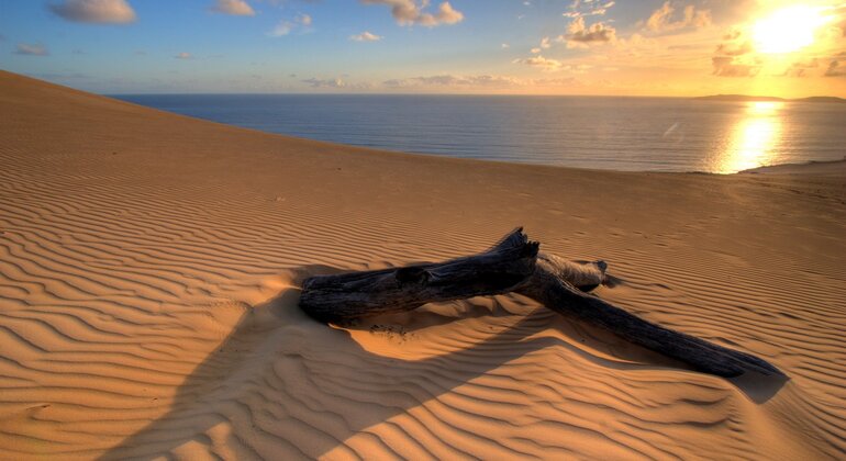 Agadir: Excursión por el Desierto del Sáhara