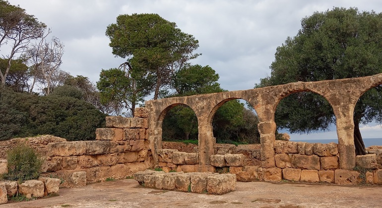 Excursión de un día a las Antiguas Ruinas de Tipaza