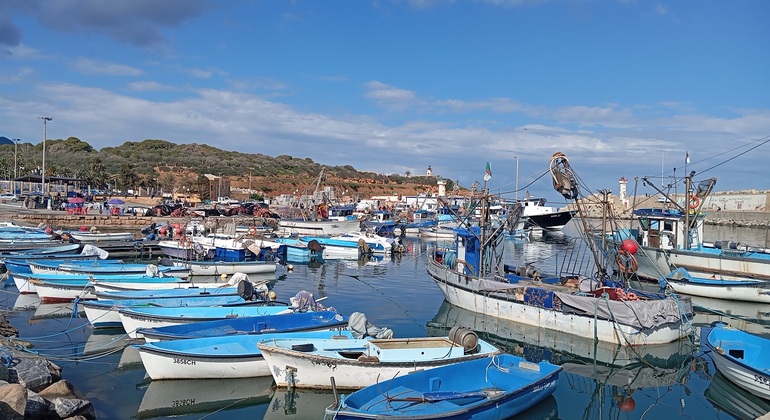 Excursión de un día a las Antiguas Ruinas de Tipaza