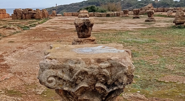 Excursión de un día a las Antiguas Ruinas de Tipaza