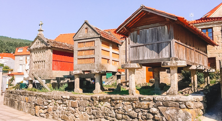 Rías Baixas: Sensory Experience in Boat and Winery