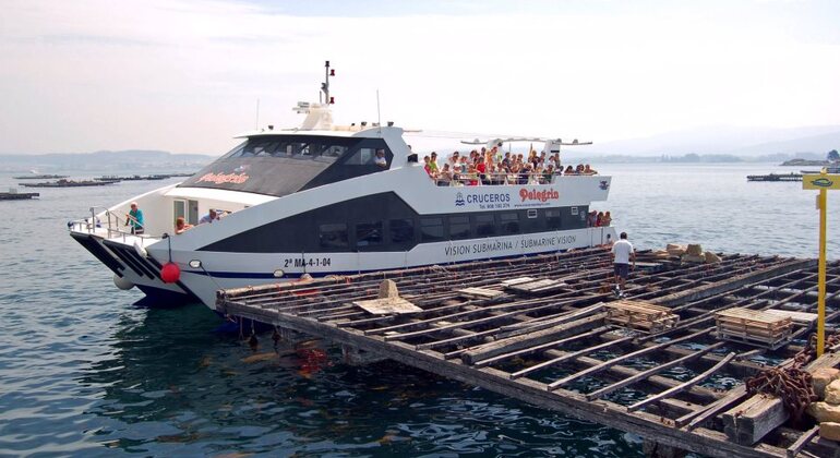 Rías Baixas: Sensory Experience in Boat and Winery