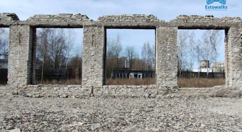 Tallinn: A City Through An Engineer’s Eyes