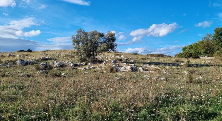 Visita guiada de Murgia Timone y Belvedere con traslado y entrada