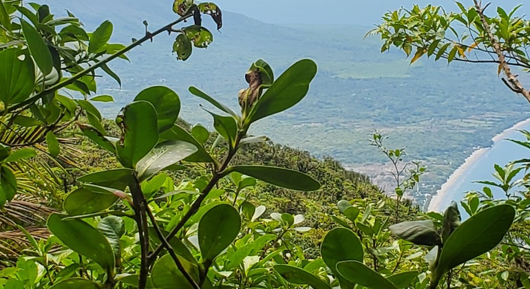 Avventura a piedi sul vulcano Ometepe Maderas