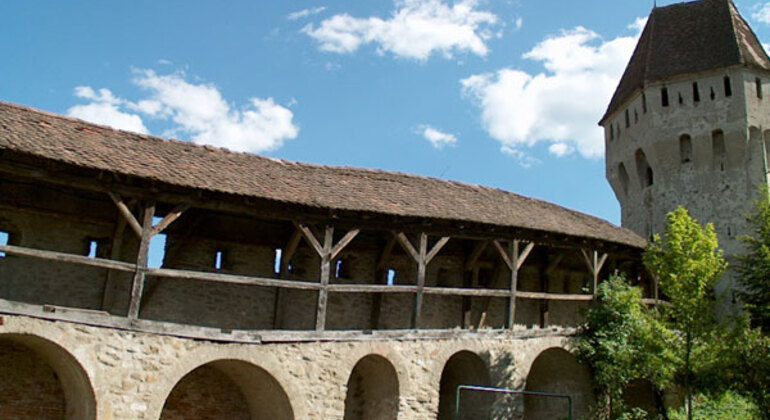 Sighisoara Citadel Walking Tour
