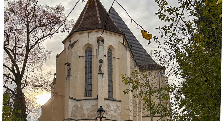 Sighisoara Citadel Walking Tour