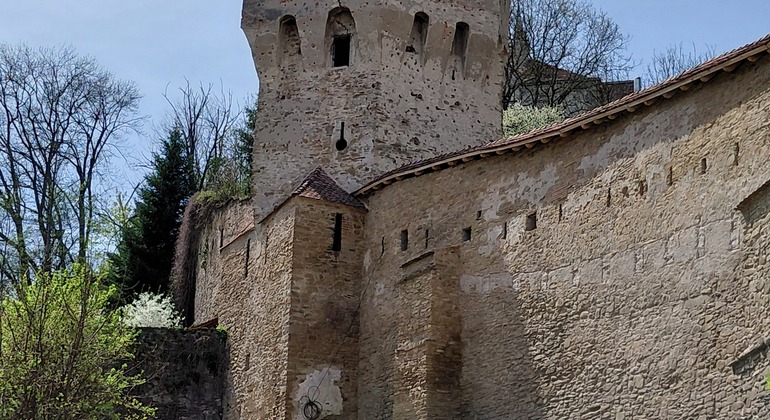 Sighisoara Citadel Walking Tour
