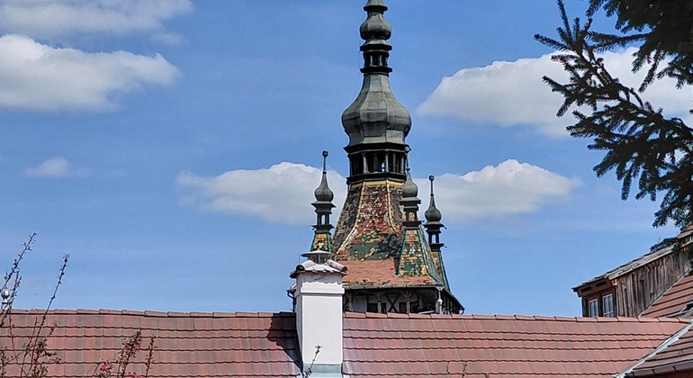Sighisoara Citadel Walking Tour