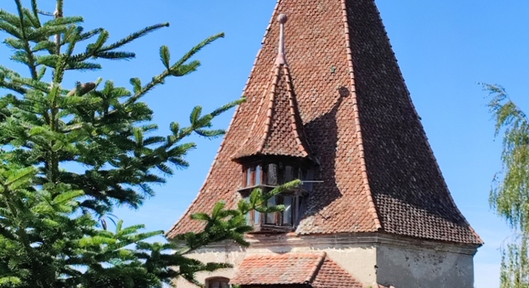 Sighisoara Citadel Walking Tour
