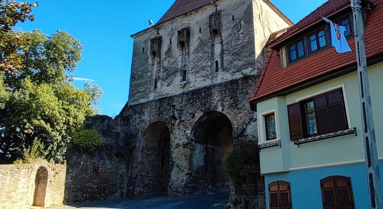 Sighisoara Citadel Walking Tour
