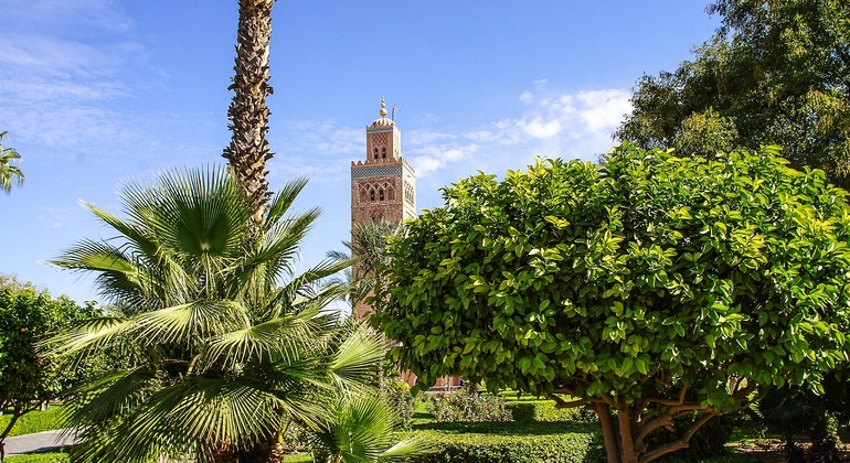 Viagem privada de Casablanca para a mágica Marraquexe