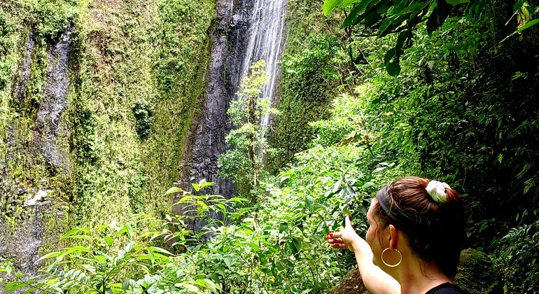 Escursione alle cascate sull'isola di Ometepe: Tour di un giorno in kayak e al tramonto