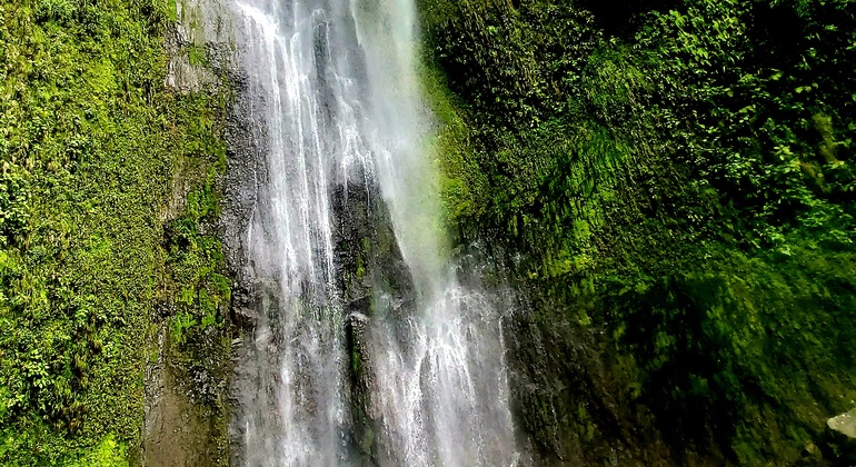 Escursione alle cascate sull'isola di Ometepe: Tour di un giorno in kayak e al tramonto