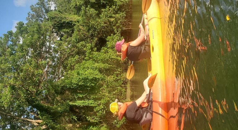 Escursione alle cascate sull'isola di Ometepe: Tour di un giorno in kayak e al tramonto