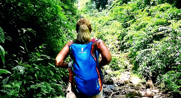 Escursione alle cascate sull'isola di Ometepe: Tour di un giorno in kayak e al tramonto