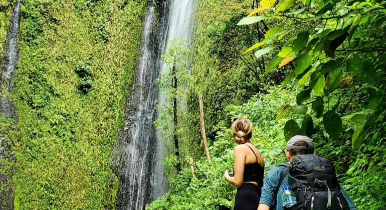 Escursione alle cascate sull'isola di Ometepe: Tour di un giorno in kayak e al tramonto