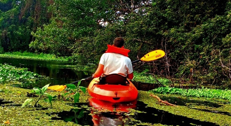 Escursione alle cascate sull'isola di Ometepe: Tour di un giorno in kayak e al tramonto