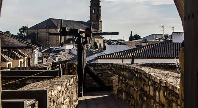 Tour of Baeza with entrance to the Cathedral