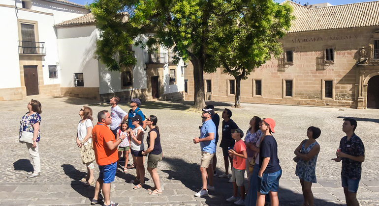 Tour of Baeza with entrance to the Cathedral