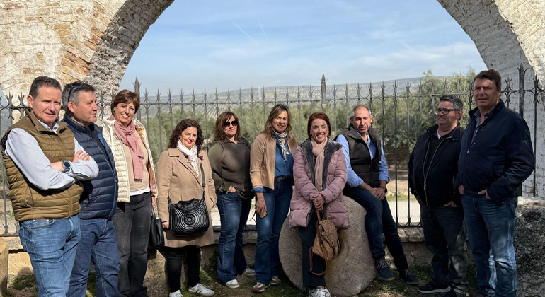 Olive Tree Museum Tour and Olive Oil Tasting in Baeza