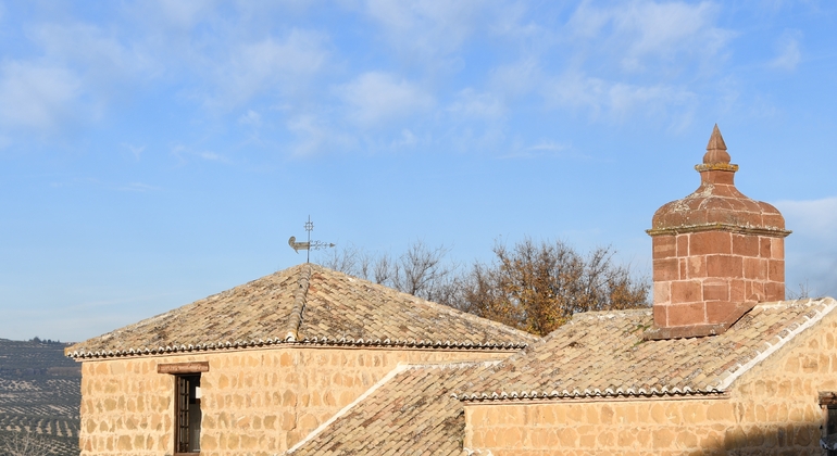 Olive Tree Museum Tour and Olive Oil Tasting in Baeza
