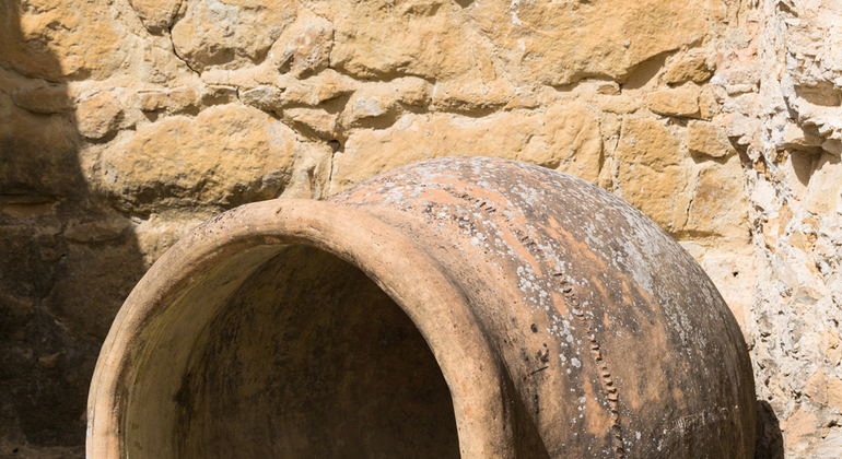 Olive Tree Museum Tour and Olive Oil Tasting in Baeza