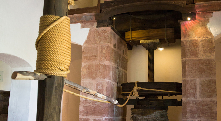 Olive Tree Museum Tour and Olive Oil Tasting in Baeza