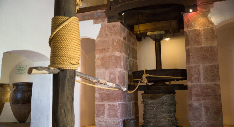Olive Tree Museum Tour and Olive Oil Tasting in Baeza