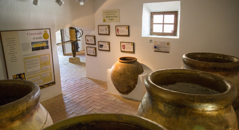 Olive Tree Museum Tour and Olive Oil Tasting in Baeza