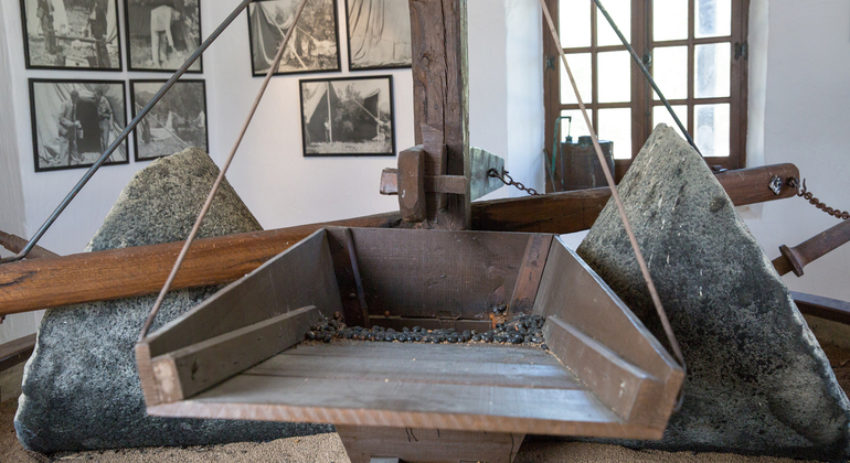 Olive Tree Museum Tour and Olive Oil Tasting in Baeza