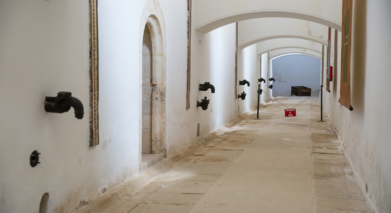 Olive Tree Museum Tour and Olive Oil Tasting in Baeza