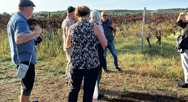 Visita a las Bodegas Ginosa: Un Viaje desde Matera