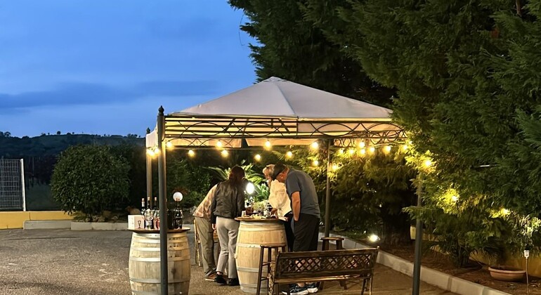 Visita a las Bodegas Ginosa: Un Viaje desde Matera