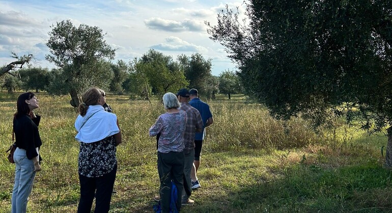 Visita a las Bodegas Ginosa: Un Viaje desde Matera