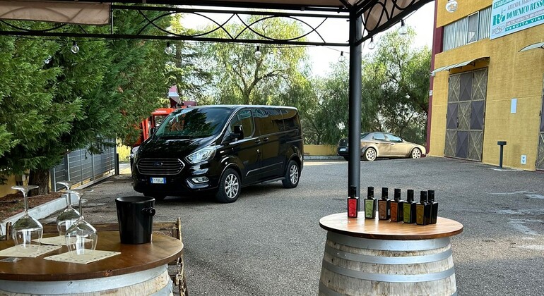 Visita a las Bodegas Ginosa: Un Viaje desde Matera