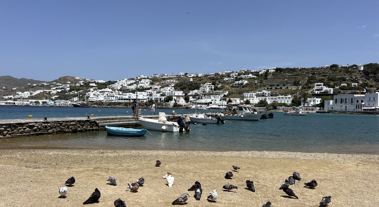 Recorrido gastronómico por la ciudad de Mykonos con un guía local