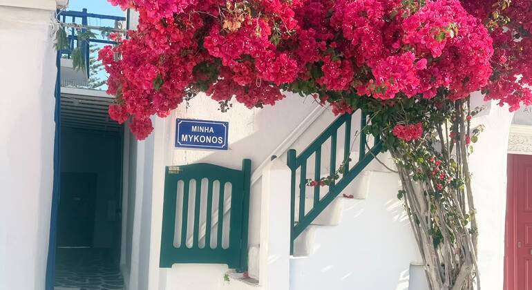 Recorrido gastronómico por la ciudad de Mykonos con un guía local