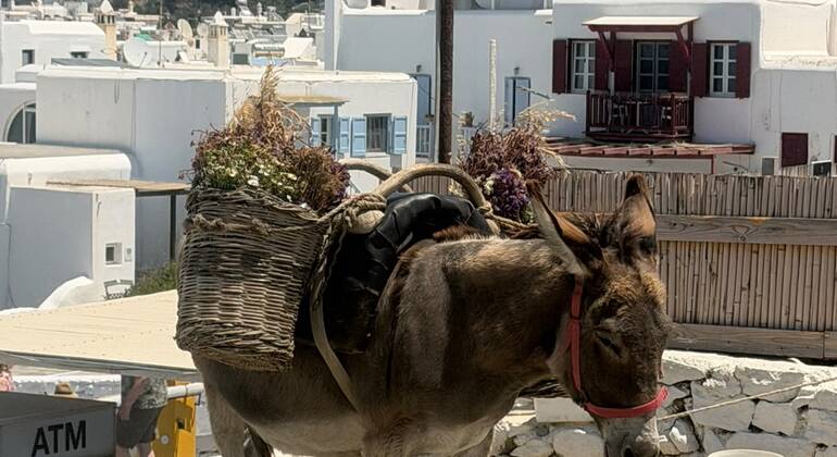 Recorrido gastronómico por la ciudad de Mykonos con un guía local