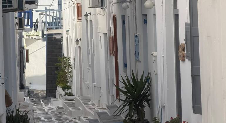 Recorrido gastronómico por la ciudad de Mykonos con un guía local
