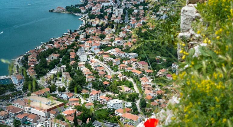 Kotor Old Town Tour and Its Hidden Gems