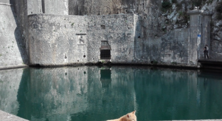 Kotor Old Town Tour and Its Hidden Gems