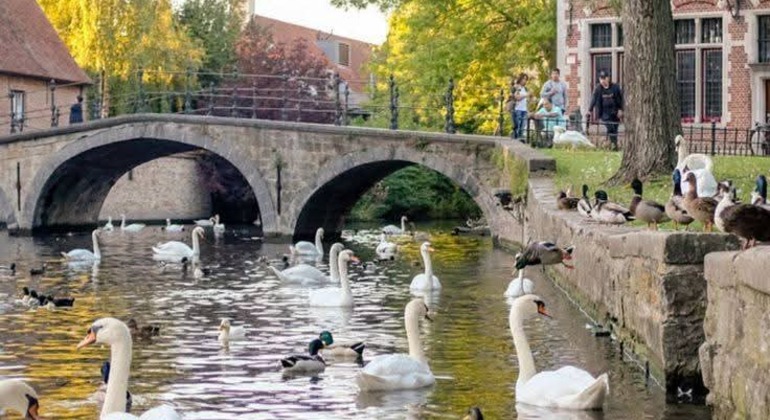 Your Private Guide to Bruges, the Medieval City