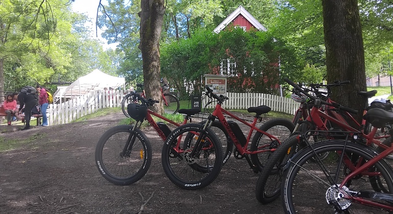 Oslo E-Bike City Highlights Tour